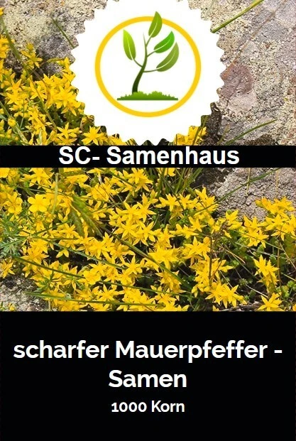Bild 1 von 4
