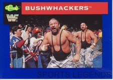 1991 Classic WWF WWE #119 Bushwhackers