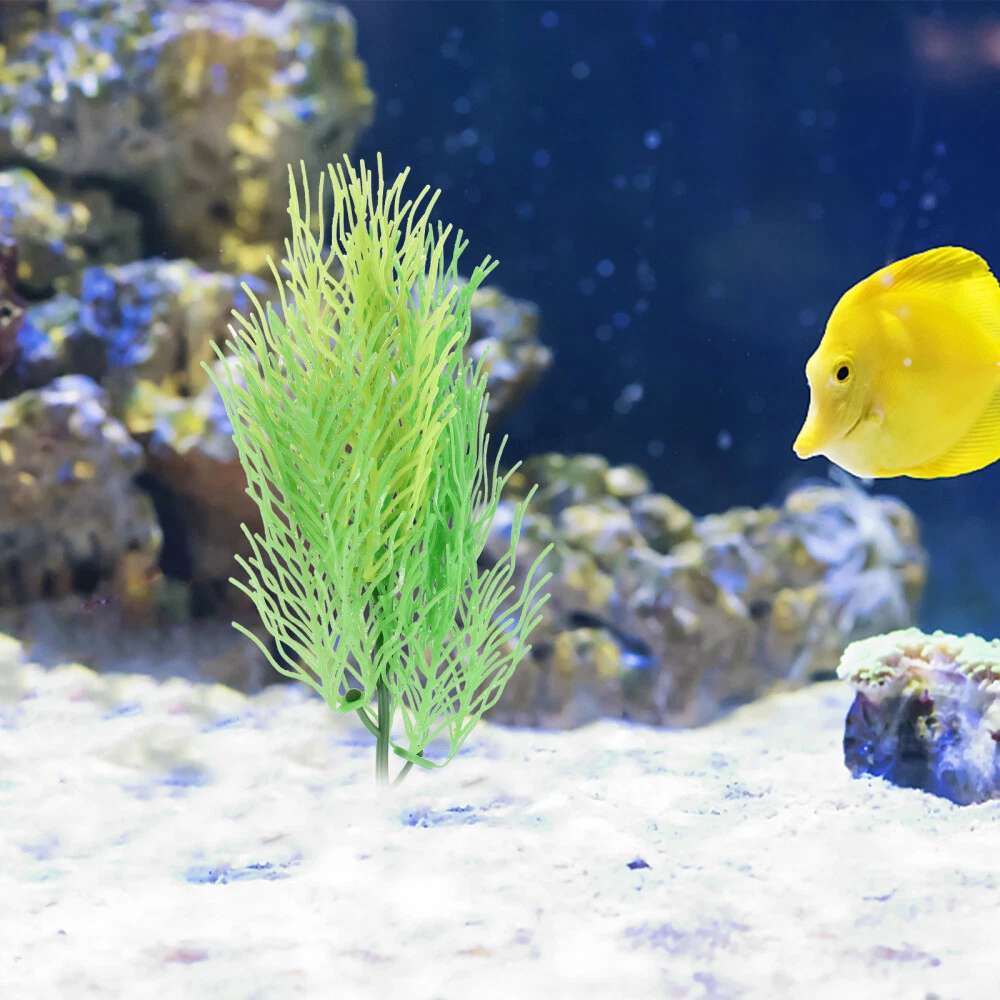 Reef sales aquarium equipment