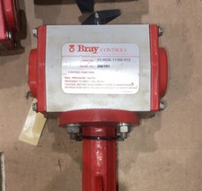 Bray 2  Butterfly Valve 92-0630-11300-912