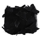 Foto 12 di 22