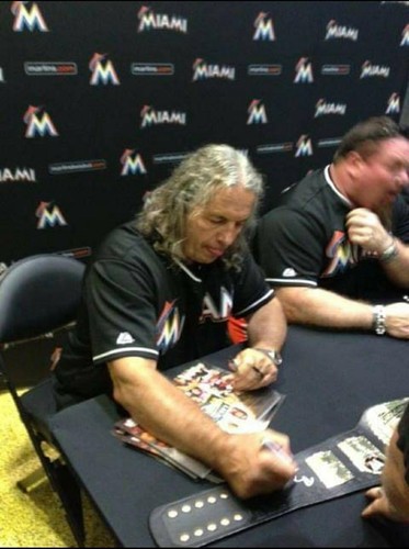 WWE Tag Team Replica Belt Signed Hart Foundation, Demolition, DX - Foto 17 di 23