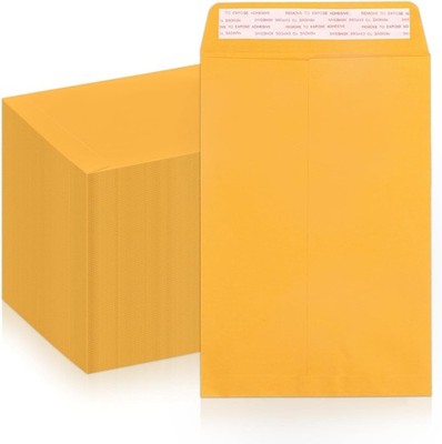 6x9 Manilla Envelopes Self Seal 250 PCS, Small Brown Kraft Catalog Envelopes 6x9