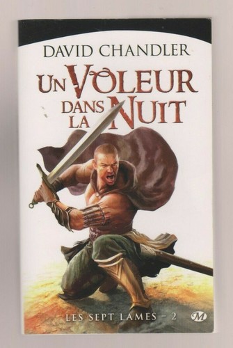 DAVID CHANDLER - UN VOLEUR DANS LA NUIT - LES SEPT LAMES T2