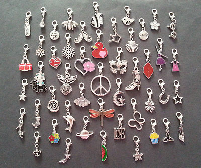 Clip auf Hänger Charms Erinnerung Medaillon/Armband/Schlüsselanhänger Kaufen Sie 2 erhalten Sie 1 Gratisliste 2