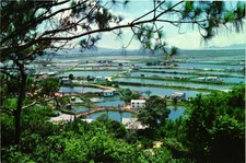 Overlooking Chinese Border & Flooded Rice Paddy Fields of Lok Ma Chau Hong Kong