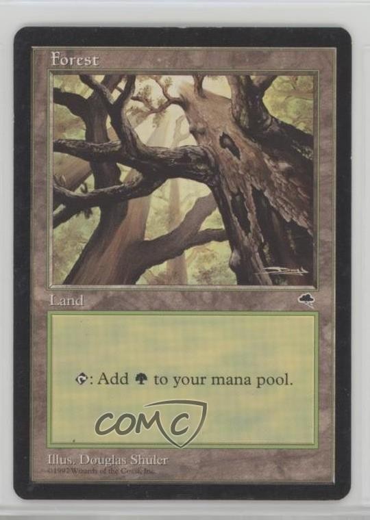 Forest (Looking Skyward) Magic: Tempest 1997