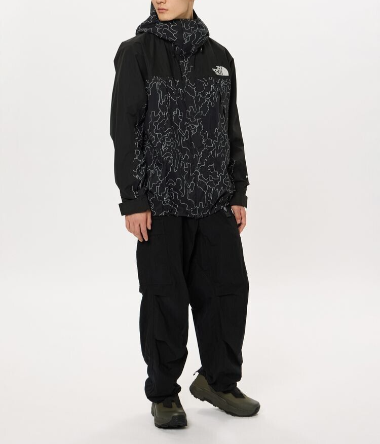 ASK availability First)THE NORTH FACE Novelty Mountain Light 