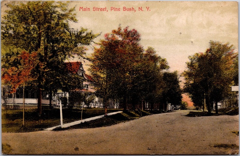 PC6655 NY New York Crawford Pine Bush Main Street Orange County Postcard