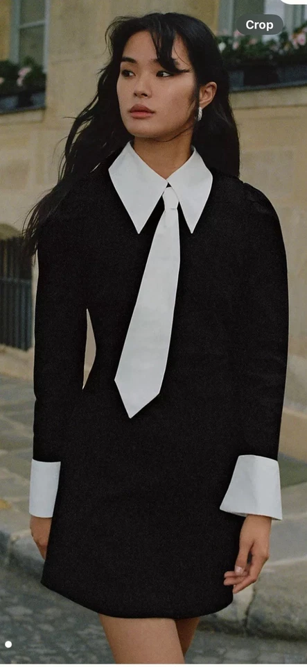 全新带标签 Anthropologie 尺寸 XS 领带迷你衬衫连衣裙黑白 — 第 2/4 张图片