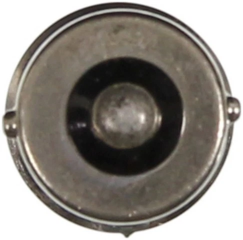 Wagner Lighting BP17311 padrão lâmpada multiuso cartão de 2 - Imagem 2 de 4