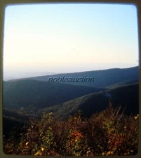 1950s Rolling Hills, Trees, Beautiful Landscape Realist 3D Stereo Slide