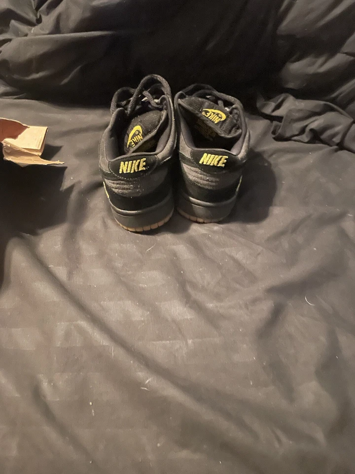 Talla 6- Nike Dunk Pro Sp Low Chocolate Foto 2 de 4