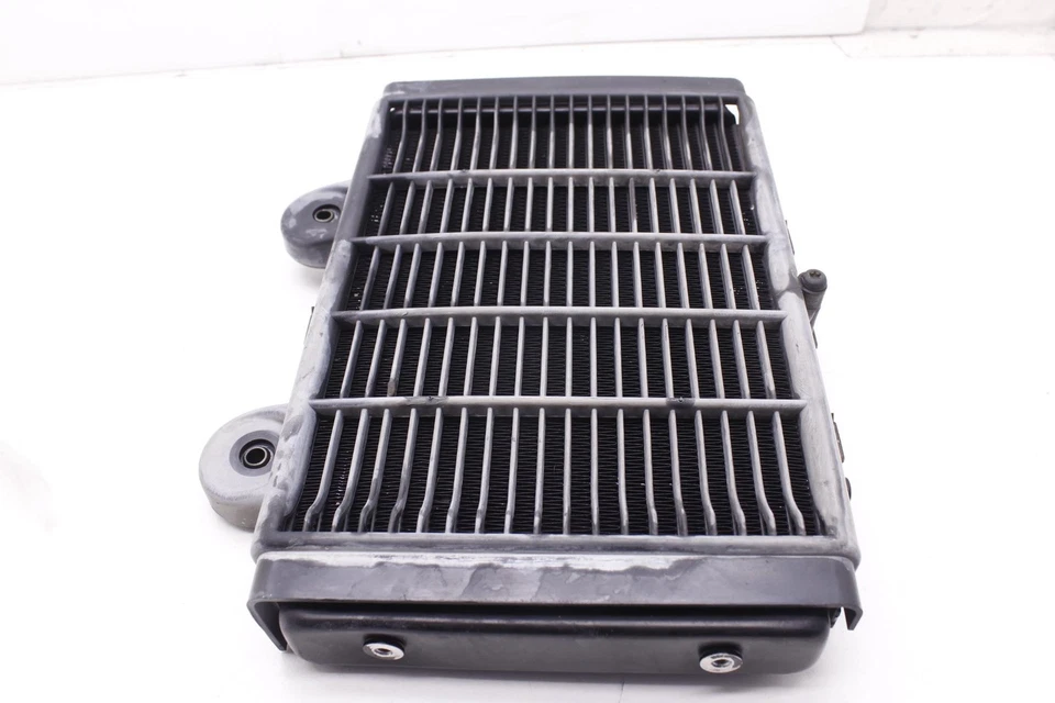 02 Triumph Thunderbird Oem Engine Cooler Cooling Radiator Radiater R5 Foto 3 de 4