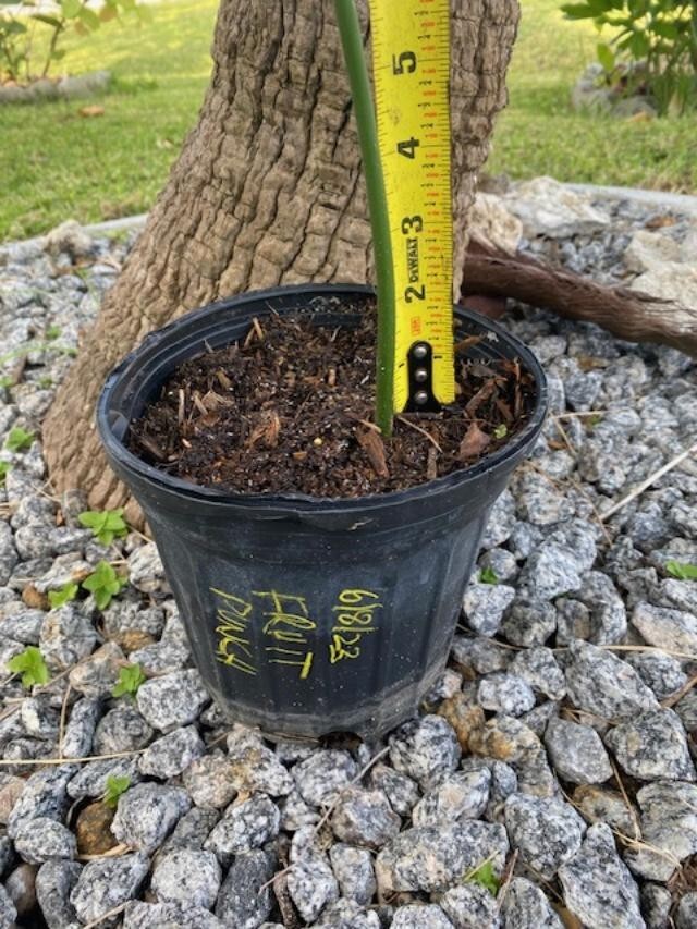 Picture 12 of 18