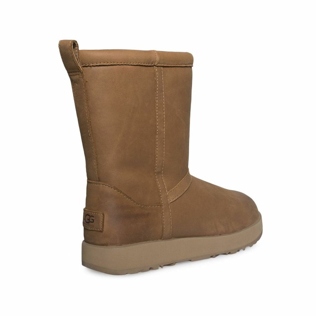 ugg 1017509