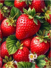 Tile Mural Fresh Strawberry Ripe Berries Kitchen Wall Backsplash Marble Ceramic