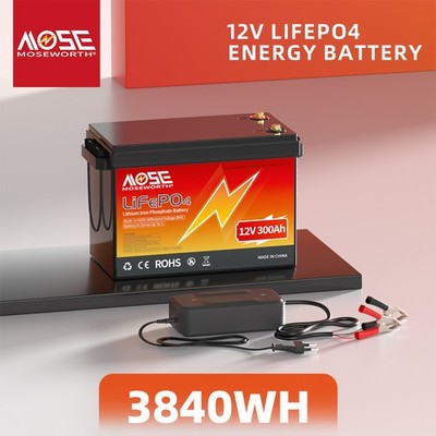 12V 300Ah LiFePO4 Lithium Batterie 200A BMS 15000+Zyklen Solar Akku RV+Ladegerät