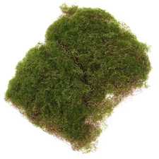 Simulated Moss Ornaments Micro Landscape Turf Scene Mini Garden Artificial