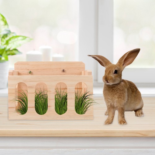 Guinea Pig Hay Holder for Rabbits Bunny Rack Grass Stand Baby eBay