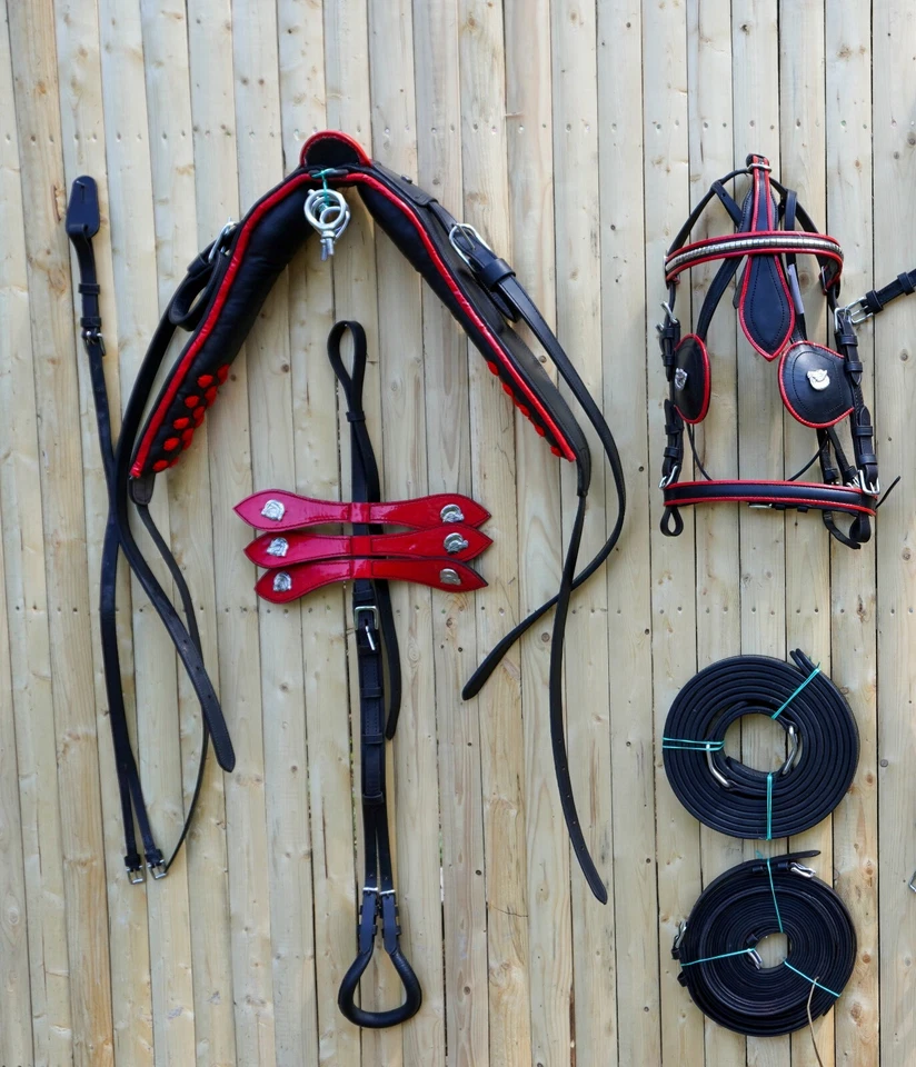 Premium Full Size Leather Horse Driving Harness With Red Trim - Image 4 of 4