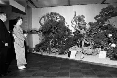 Empress Nagako Visits A Japanese Flower Arrangement Exhibition 1964 Old Photo 1