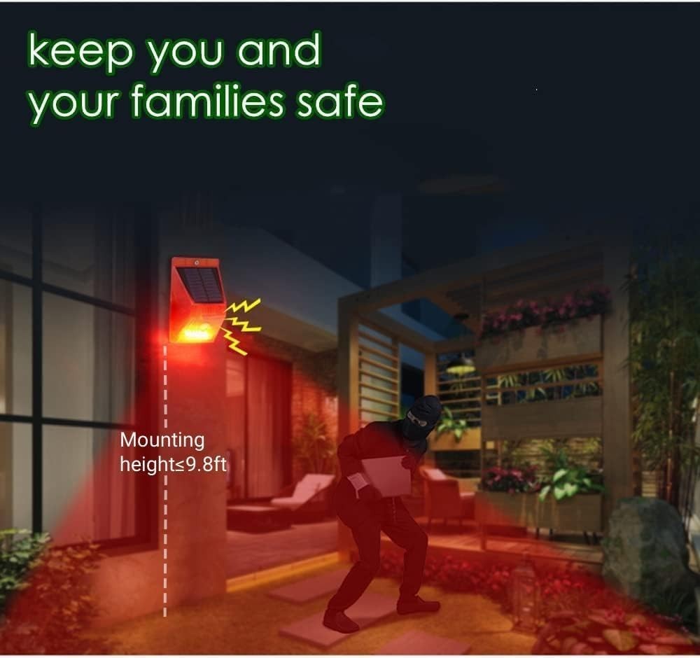 Slide 6