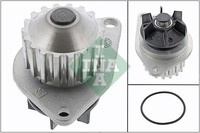 1X INA 538 0055 10 Wasserpumpe MotorküHlung FüR CitroëN Fiat Peugeot