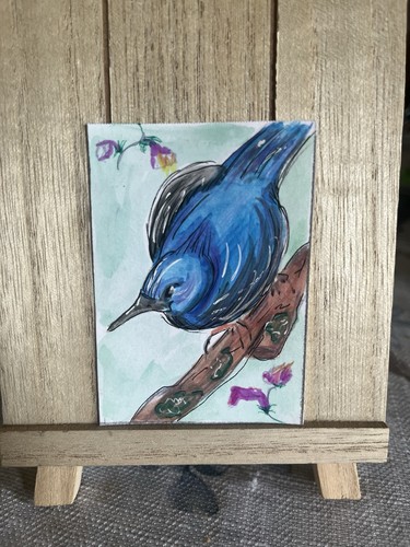 Original Superb Fairy Wren Bird Watercolor Series "Little Wren" ACEO Art  