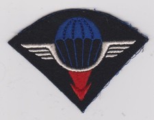insigne tissu, écusson militaire - 25ème Division Aéroportée - Para