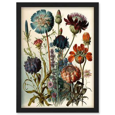 Vintage botanische Illustration Haeckel inspiriert gerahmtes Wandbild Bild Druck A4