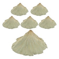  6PCS Whole Sheet Dried Lotus Leaves - Sushi Plate Lotus Leaf Decoration & Food