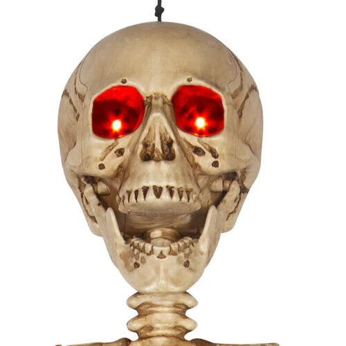 Calavera esqueleto descompuesta tamaño humano posable de 5 pies con ojos LED accesorios de decoración de Halloween Foto 4 de 4