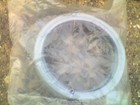 Foto 3 di 3