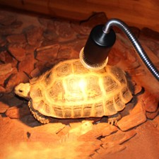Reptile Lamp 25/50/75W UVA UVB 3.0 Pet Heat Bulb Lamp Turtle Basking Light Bulbs