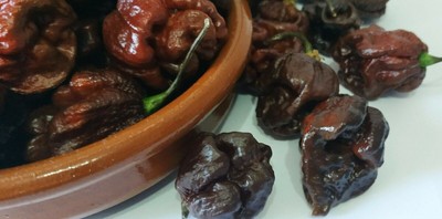 20 Carolina Reaper Chocolate Chilli Seeds - 100% Germination Guarantee, Super Hot Pepper