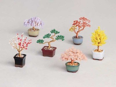 Japanese Planters' Choice Bonsai toy Starter Kit 