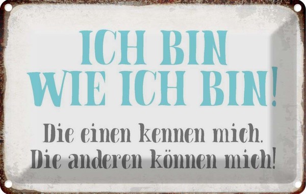Blechschild 20X30 Cm Ich Bin So Wie Spruch Zitat Deko Geschenk Metall Schild-image