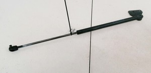 3M51R406A10AB Gasdruckfeder Motorhaube 3M51-R406A10-AB Ford C-MAX DE1227111-35