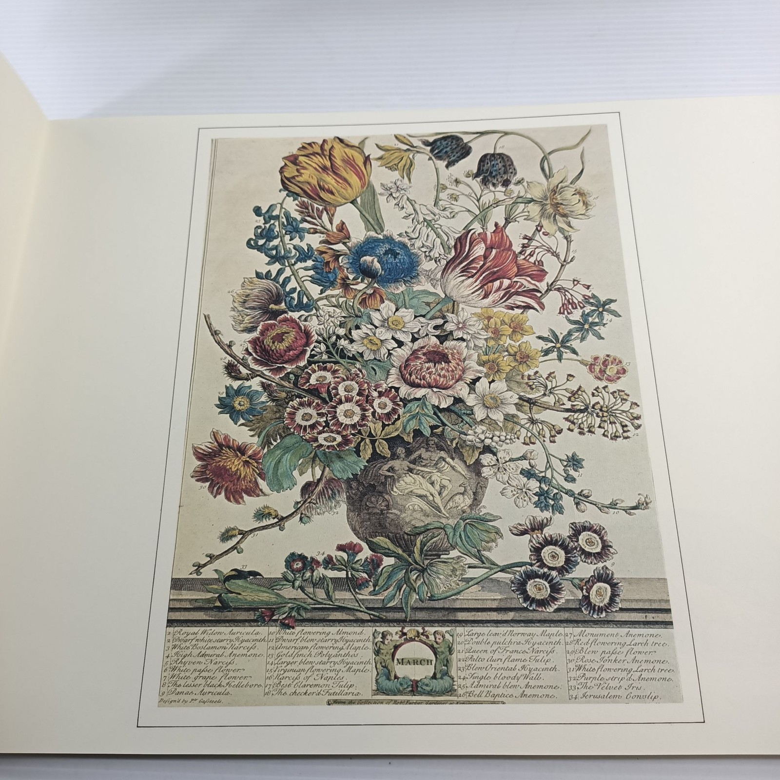 A Garden Alphabet John Harris 1979 Prints Portfolio Octopus Books Vintage Art image 9