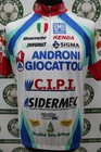 cycling jersey ANDRONI SANTINI SIZE XL G914 bike shirt jersey jersey jersey