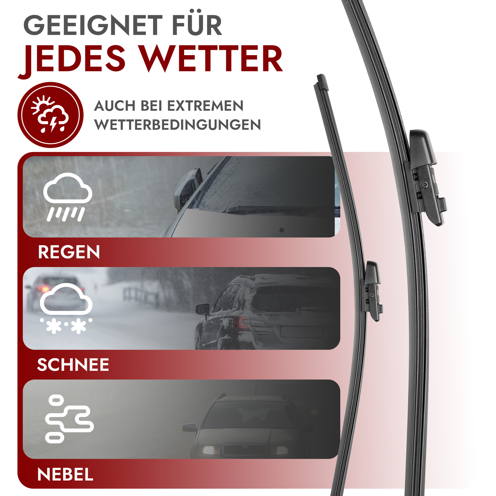 Bild 4 von 8