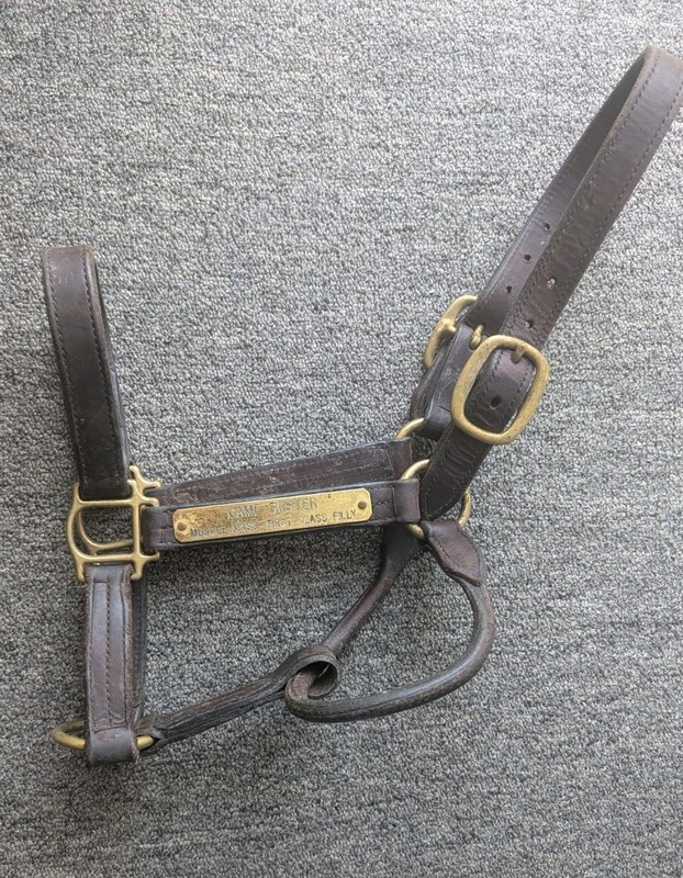 Used Leather Standardbred Horse Halter