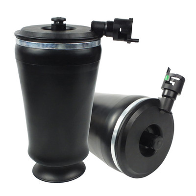 Chsuatuo 2Pcs Rear Air Spring Suspension Bags3U2Z5580Pa Fit For Lincoln Town