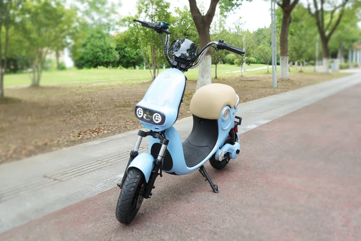 Moteur De Moyeu 48V 500W Pour Scooter électrique 10 Pouces – Sans Balais Et Frein à Disque