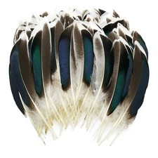 200pcs Duck Feathers Natural Spotted Wild fea...