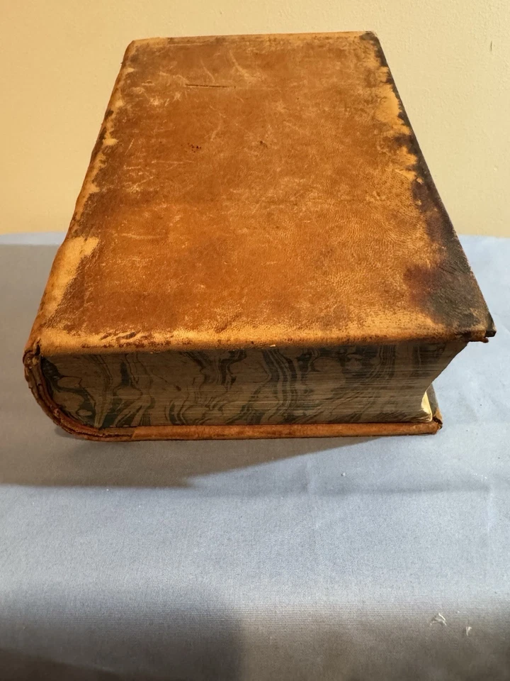 Antique Full Leather XL Book 1856 “A Copious And Critical Latin-English Lexicon” - Image 2 of 4