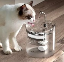 Cat Water Fountain