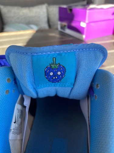 Size 11.5 - Nike Dunk Low Pro SB Fruity Pack - Blue Raspberry - Picture 10 of 16