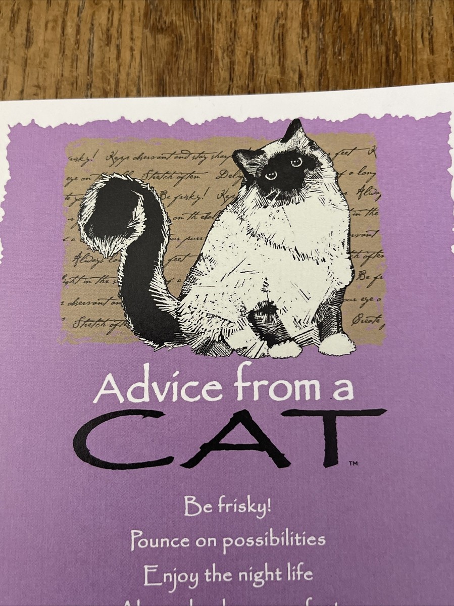 Advice For Life Greeting Card Cat | eBay